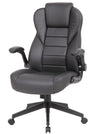 Executive Chair/NLEX-117 Executive Chair/NLEX-117