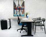 Proline Office Workstation - Single or Double Workstation Proline Office Work Station - New Life Office