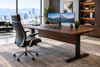 What Makes Executive Sit-Stand Desks Different From Standard Models?
