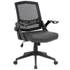 Task Chair/NLTSK-101